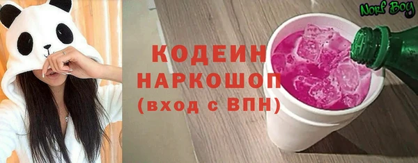 дмт Кодинск
