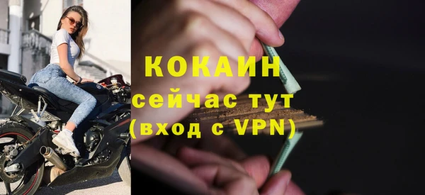дмт Кодинск