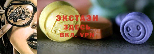гашик Костерёво